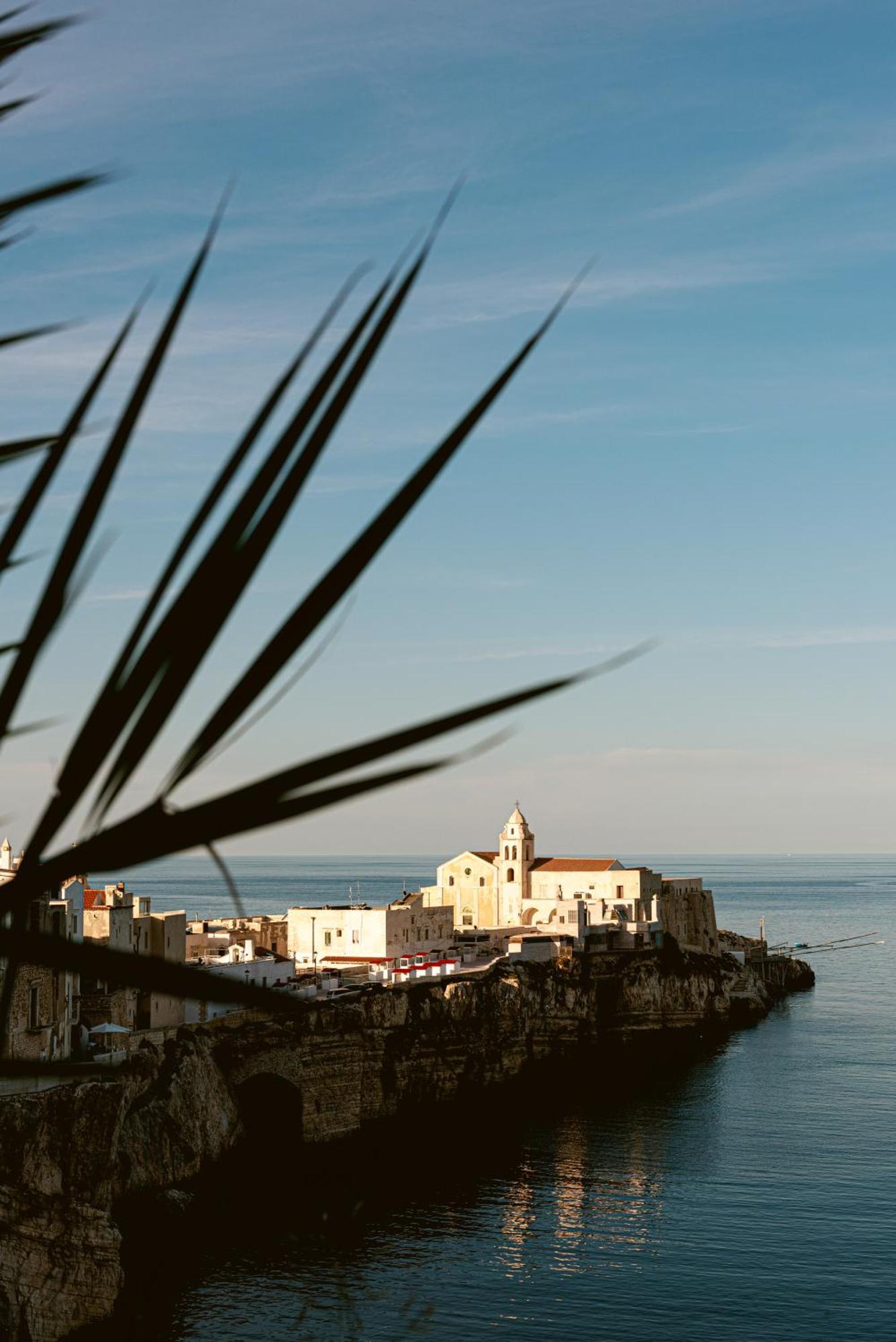 Hotel Degli Aranci Вьесте Экстерьер фото